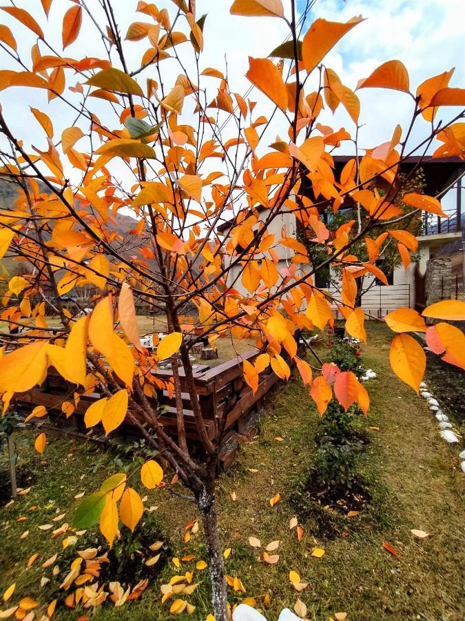 ---Allegria House--- Kazbegi Extérieur photo