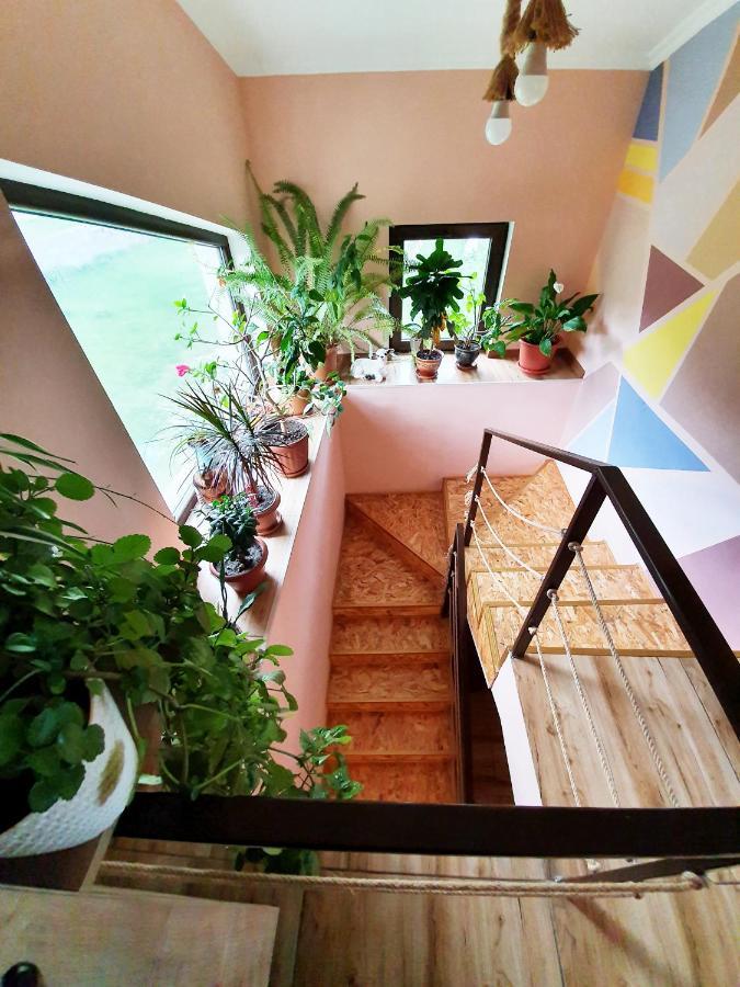 ---Allegria House--- Kazbegi Extérieur photo