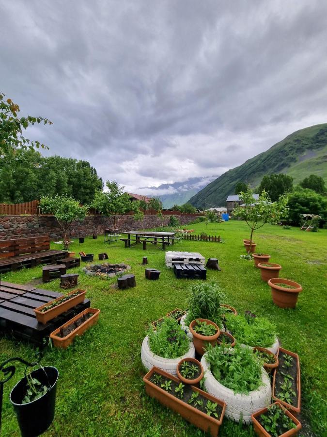 ---Allegria House--- Kazbegi Extérieur photo