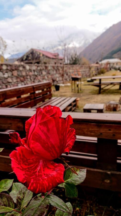 ---Allegria House--- Kazbegi Extérieur photo