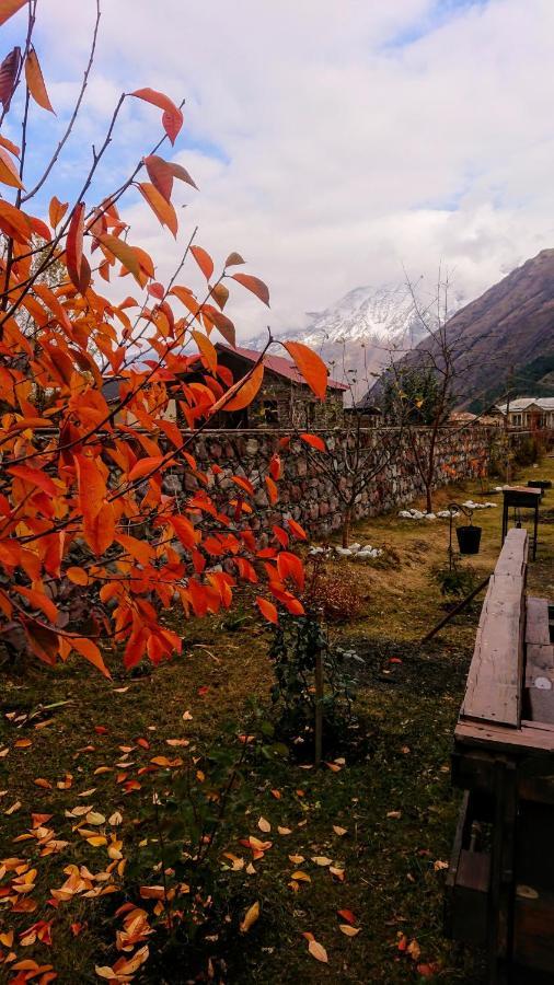 ---Allegria House--- Kazbegi Extérieur photo