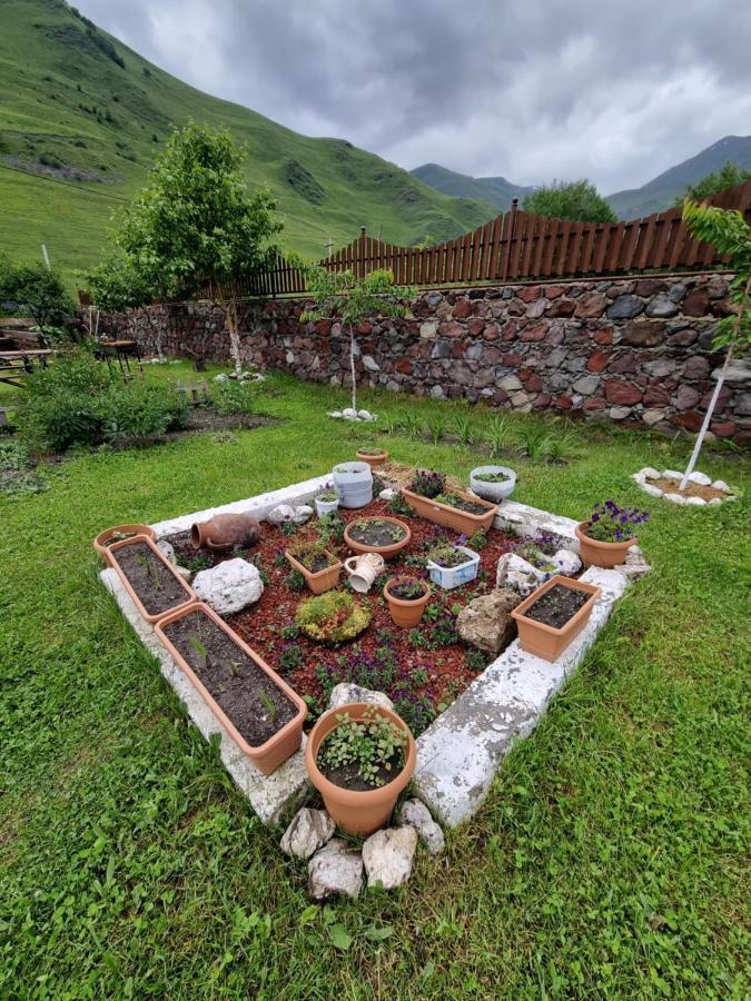 ---Allegria House--- Kazbegi Extérieur photo