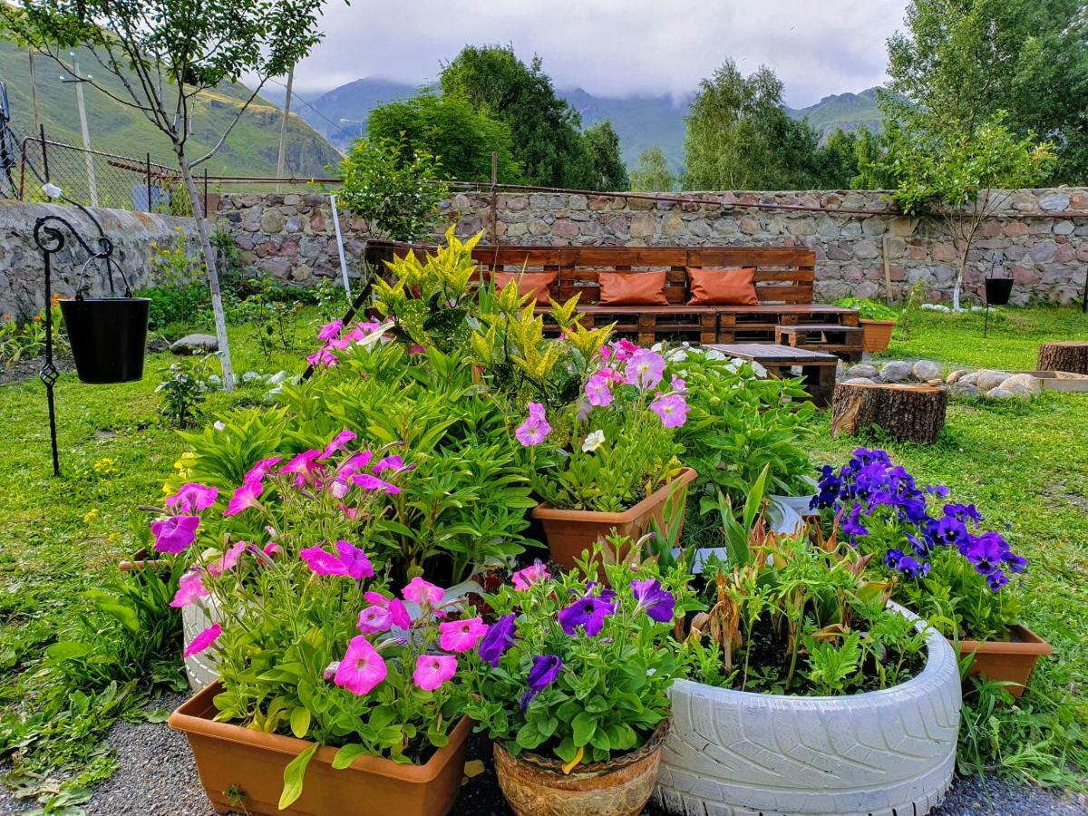 ---Allegria House--- Kazbegi Extérieur photo